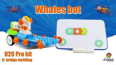 Whales bot U20 Pro kit II the bridge