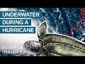 What Happens To Fish During A Hurricane