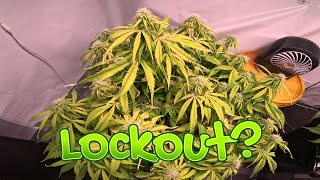 Week 8 - Lockout?