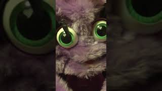 Wuv Luv Not Naming Baby?