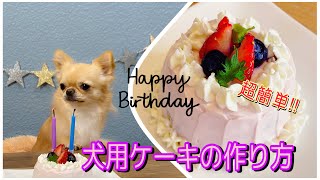 【超簡単】犬用ケーキの作り方【手作りケーキ】【birthday】