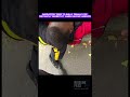 Shoplifter Tries to Bully Female Cop — Instantly Regrets It When Backup Arriveslv 0 20250819163722