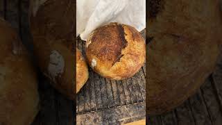 High Altitude Sourdough:  9600ft, 78% Hydration, 1000g Old World Bread Flour, 200g starter, 20g salt