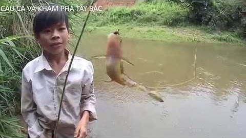 các cần thủ tương lai, câu cá suối mùa nước lũ ./  fishing season flood water