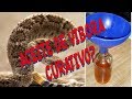 Como Hacer Aceite de  vibora de cascabel #LenteViajeroUSA