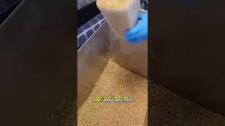 𝗙𝗲𝗲𝗱𝗶𝗻𝗴 𝘁𝗵𝗲 𝗙𝘂𝘁𝘂𝗿𝗲 𝗛𝗼𝘄 𝗜𝗻𝗱𝗼𝗼𝗿 𝗛𝘆𝗱𝗿𝗼𝗽𝗼𝗻𝗶𝗰𝘀 𝗶𝘀 𝗥𝗲𝘄𝗿𝗶𝘁𝗶𝗻𝗴 𝗔𝗴𝗿𝗶𝗰𝘂𝗹𝘁𝘂𝗿𝗲