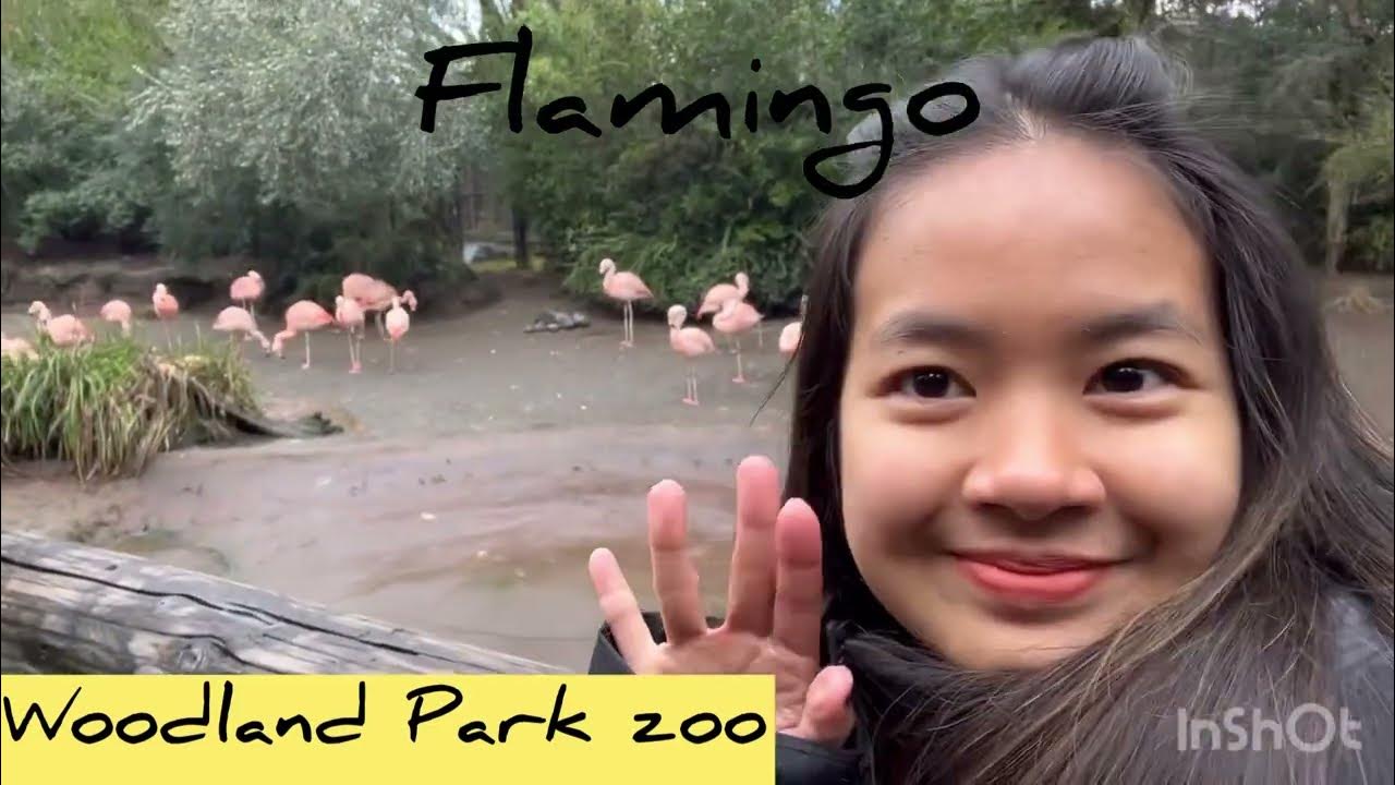 Woodland Park Zoo Seattle  woodland-park-zoo-seattle