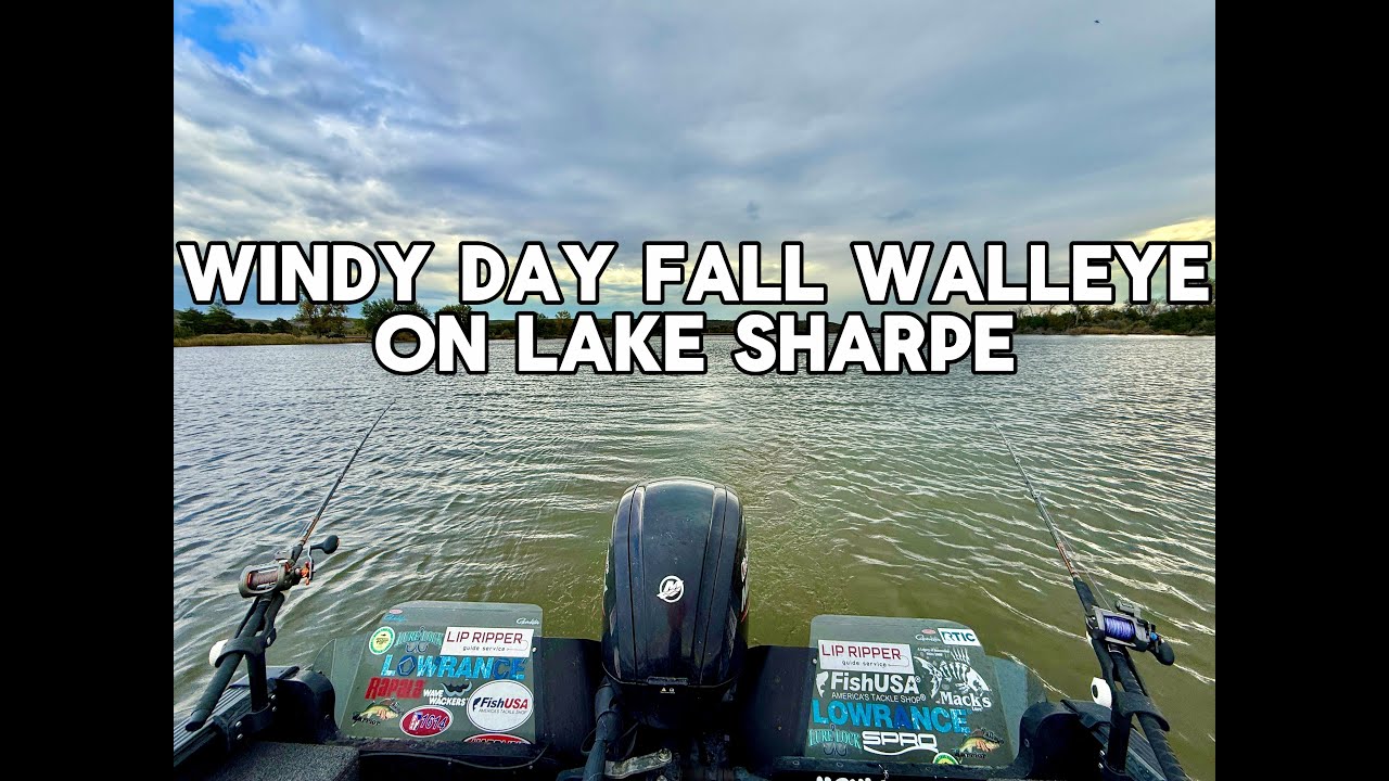 Осенний судак в ветреный день на озере Шарп