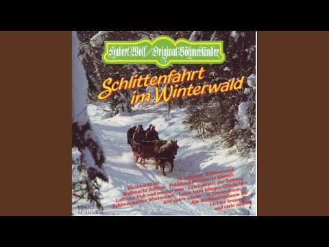 Schlittenfahrt Im Winterwald