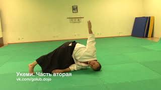 2. Курсы инструкторов Айкидо. Мае укеми, усира укеми. 2. Курсы инструкторов Айкидо. Мае укеми, усира укеми.