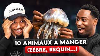 THE 10 WORST ANIMALS TO EAT (Ft Tonio Life / Le Motif / Danielowg)
