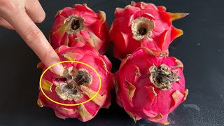 When buying dragon fruit, smart people turn around and leave when they see these 5 kinds of dragon