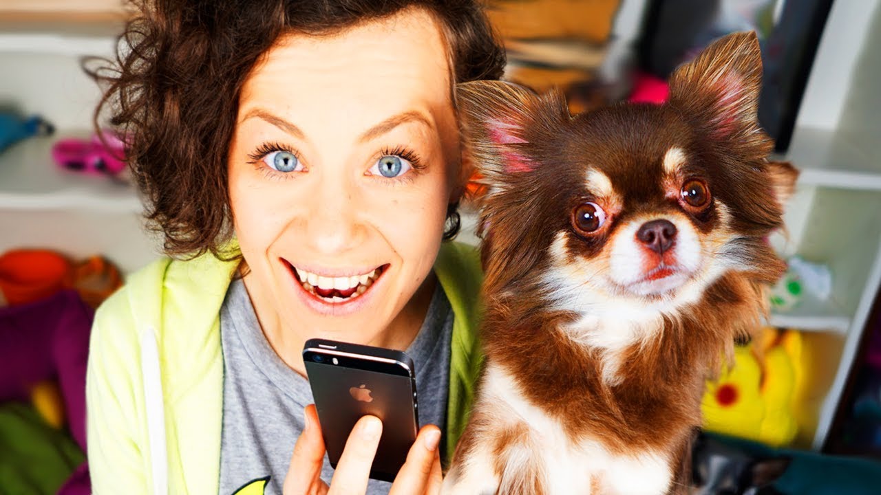 КАК Я ОЗВУЧИВАЮ СВОИХ СОБАК? ГОВОРЮ И ПОЮ ГОЛОСАМИ СОБАК, КОТОВ И ...