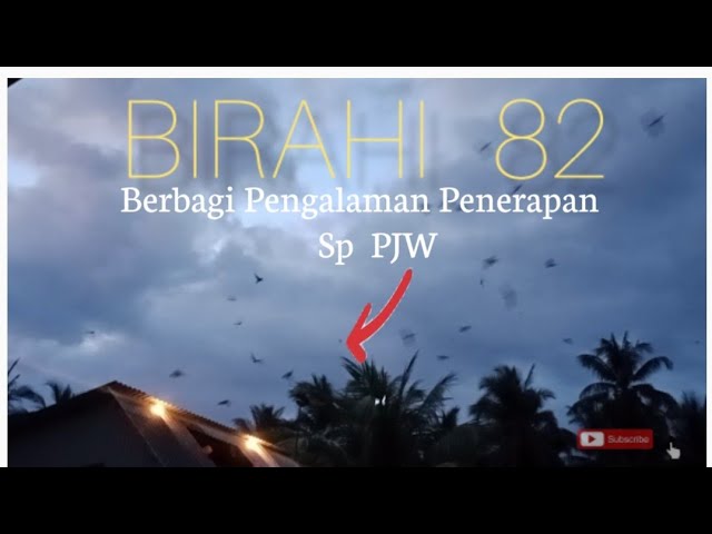 Berbagi Pengalaman Penerapan Sp PJW Birahi pada RBW Elang Naga class=