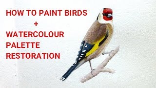 How to Paint Birds in Watercolour & Coloured Pencils + Watercolour Palette Restoration