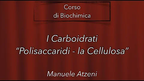 Dove si trova la cellulosa?