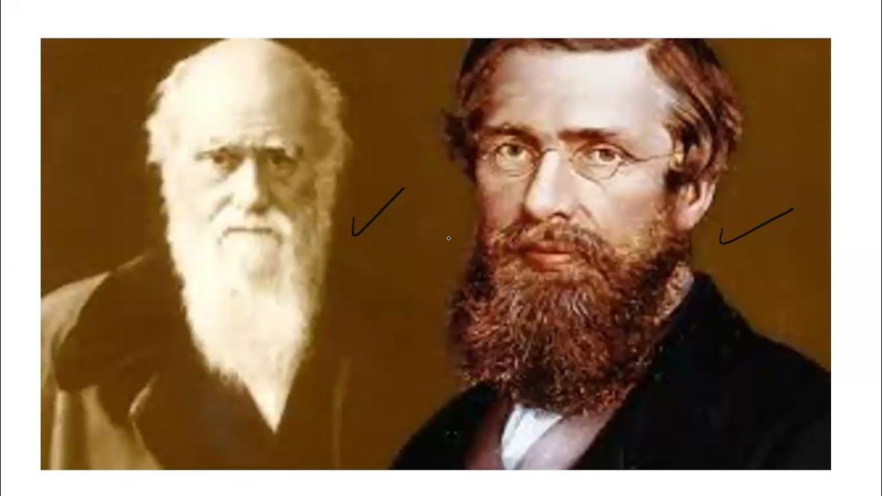 Darwin's Theory of Natural Selection. xii Biology. National Book
