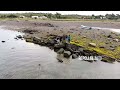 Patagonia chilena insular desde drone Raúl marin balmaceda Melinka Repollal rio palena bosque arraya