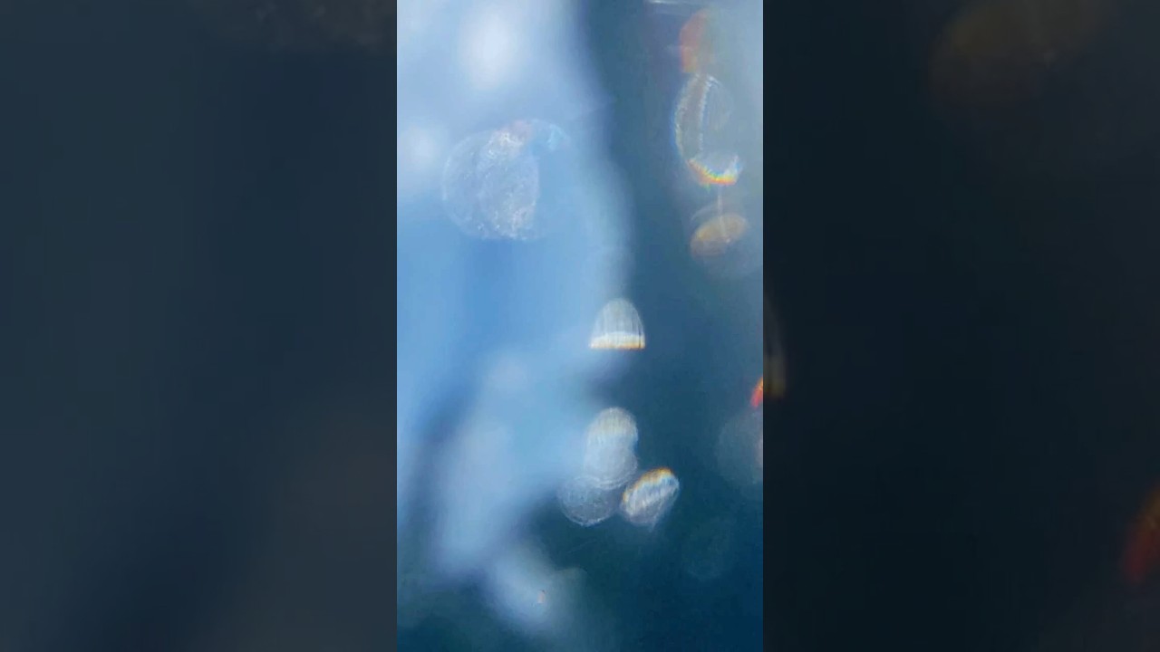 Watch "Bathalaa Island" from the release Whispers of Bathalaa by Andrea Accorsi on YouTube Watch "Bathalaa Island" from the release Whispers of Bathalaa by Andrea Accorsi on YouTube