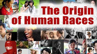 What Are The Origins of Human Races?