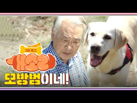 [개소리/Dog <strong>Knows</strong> Everything] | <strong>KBS</strong> 방송