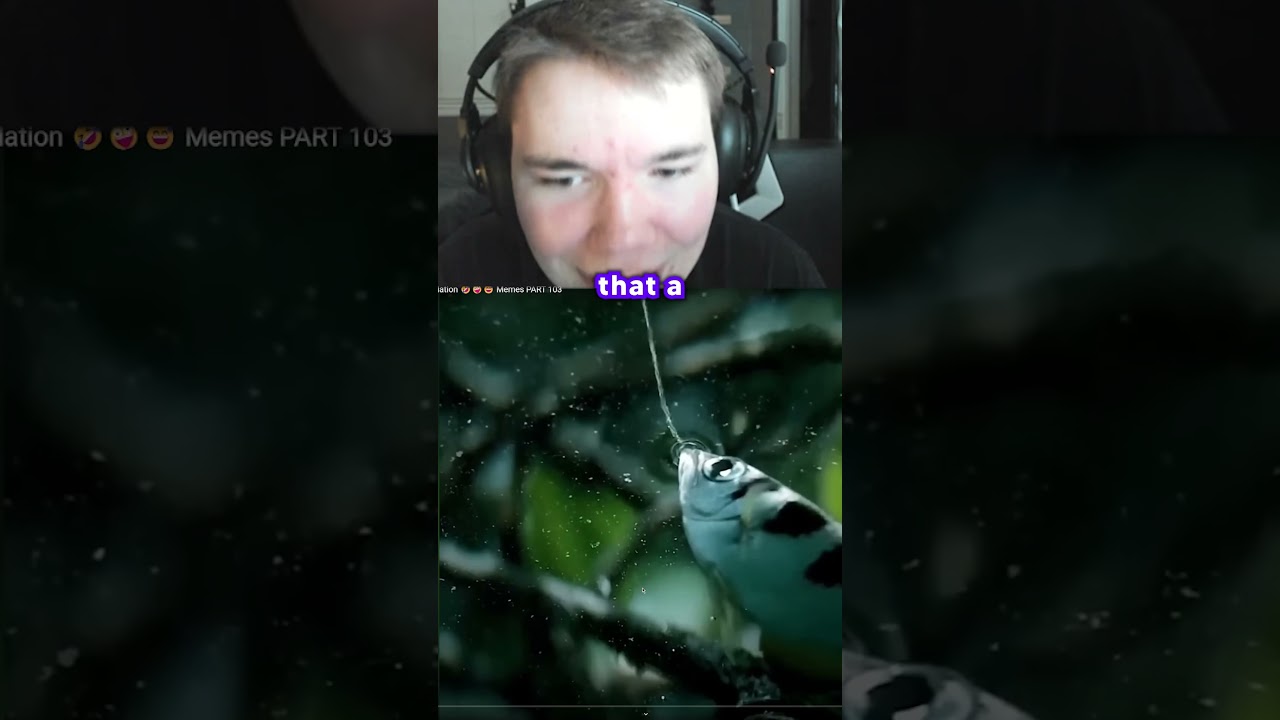 Reacting to Funny 2024 Memes