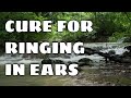 Cure For Ringing In Ears - Best Tinnitus Relief with Acoustic Neuromodulation for 2 Hours