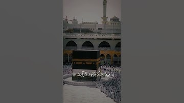 سورة النحل – وما بكم من نعمة فمن الله – بصوت مؤثر | عبد الرحمن مسعد