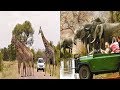 LOS 5 MEJORES SAFARIS DE ÁFRICA