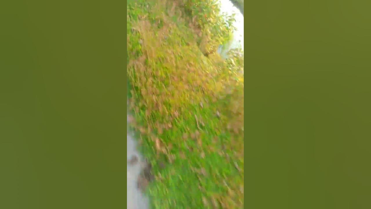speed up video shorts video YouTube