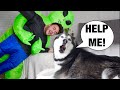 Alien Invasion PRANK On Meeka! (HILARIOUS REACTION!)😱🤣