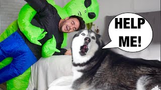 Alien Invasion PRANK On Meeka! (HILARIOUS REACTION!)😱🤣