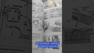 Tıp Fakültesi Ders Çalışma Günlüğüm Şfet Inavhaftası