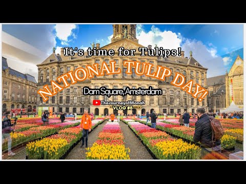 Amsterdam | National Tulip Day 2020