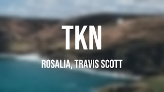 TKN - Rosalia, Travis Scott {Lyrics Video}