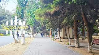 Elif Yilmaz - Going Away