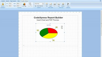 CodeXpress Report Builder Chart Insertion and Pdf Preview