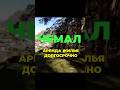 Алтай. Чемал. Аренда жилья долгосрочно. 89130939401 WhatsApp #чемал #алтай