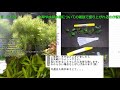 水草や水草水槽についての雑談で盛り上がれるのか配信 #132