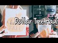 DOLLAR TREE HAUL - AUGUST 2020