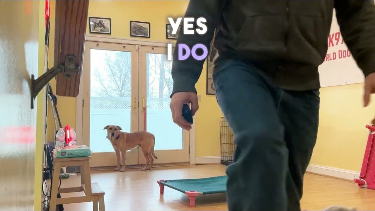 Cairo learns place command 