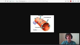 MCAT Question of the Day: Capillary Permeability and the Lymphatic System