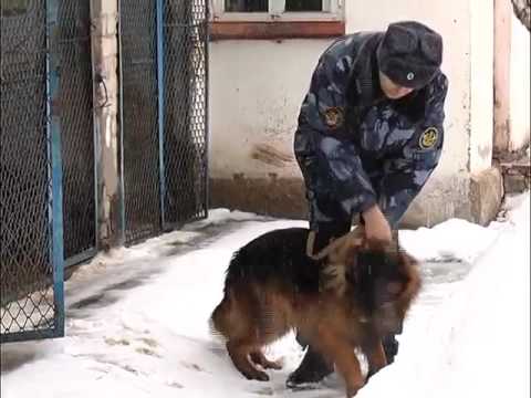 В жизни всегда есть место подвигу