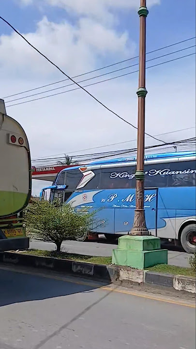 Bus PMH 224 'King Of Kuansing Antri Solar #shorts #shortvideo #buspmh