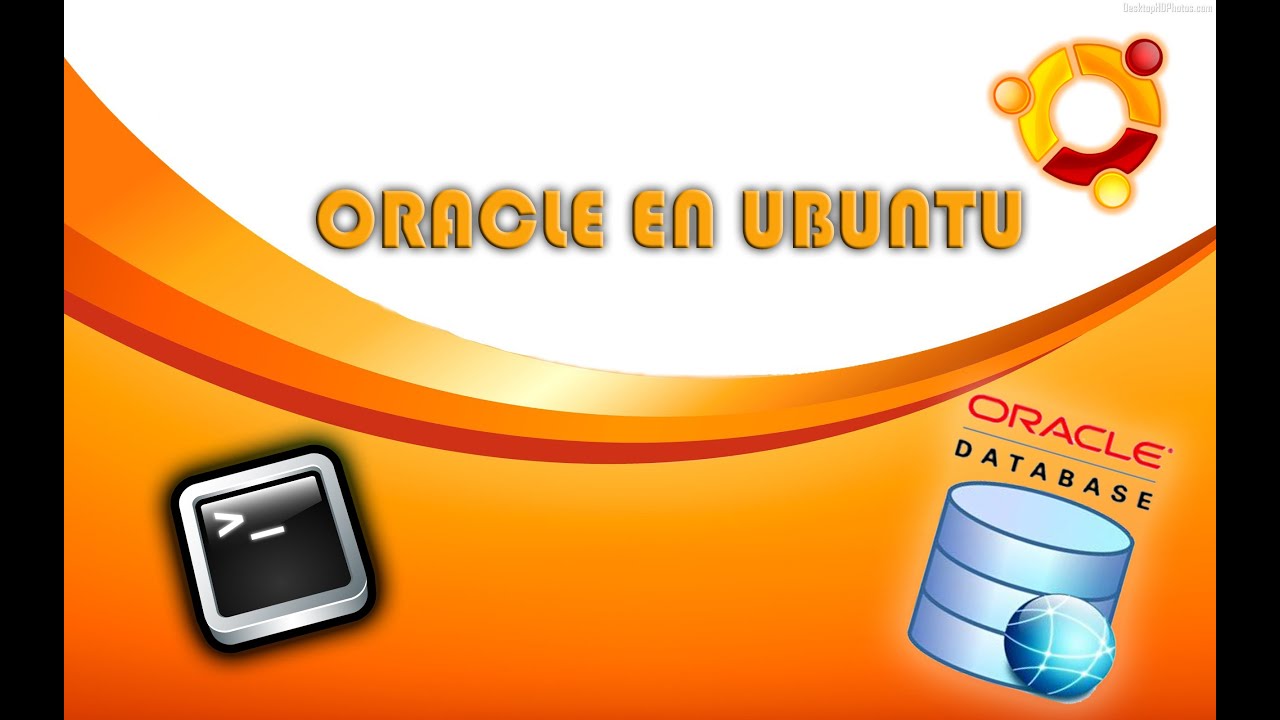 oracle developer suite 10g ubuntu oracle developer suite 10g ubuntu