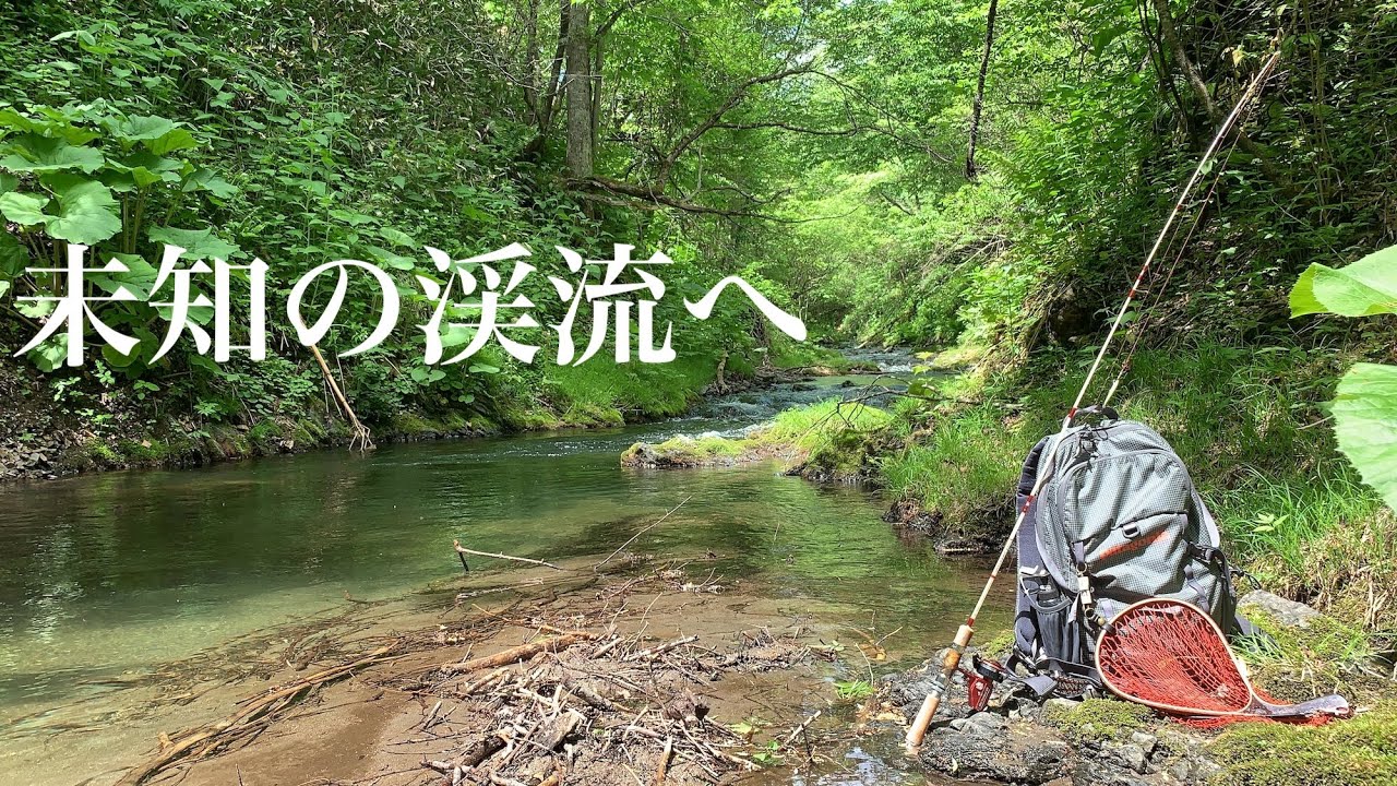 初夏に未知の渓流を調査してみたら凄かった 北海道渓流ルアーフィッシング Hokkaido Mountain Stream Lure Fishing Youtube