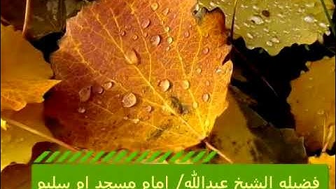 سورة الإسراء آية ١٠٠~١٥٠ | الشيخ د.عبدالله شديد رحمه الله | تلاوة جميلة