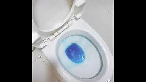 CỐC THẢ BỒN CẦU BLUE - HÀN QUỐC