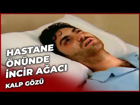 Hastane Önünde İncir Ağacı | Kalp Gözü