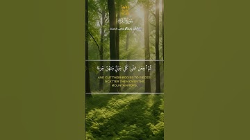 سورة البقرة | تلاوة مميزة بصوت القارئ عبد الرحمن مسعد 🕋✨